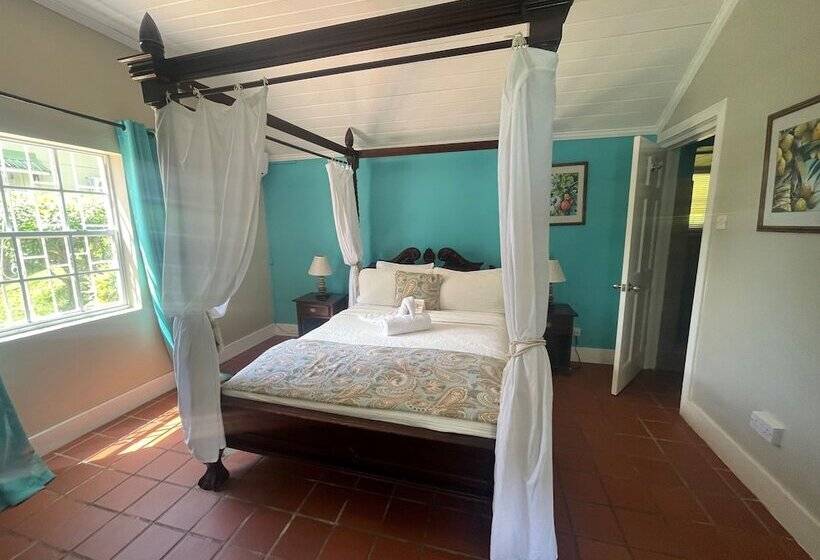 استودیوی استاندارد, Marigot Beach Club And Dive Resort