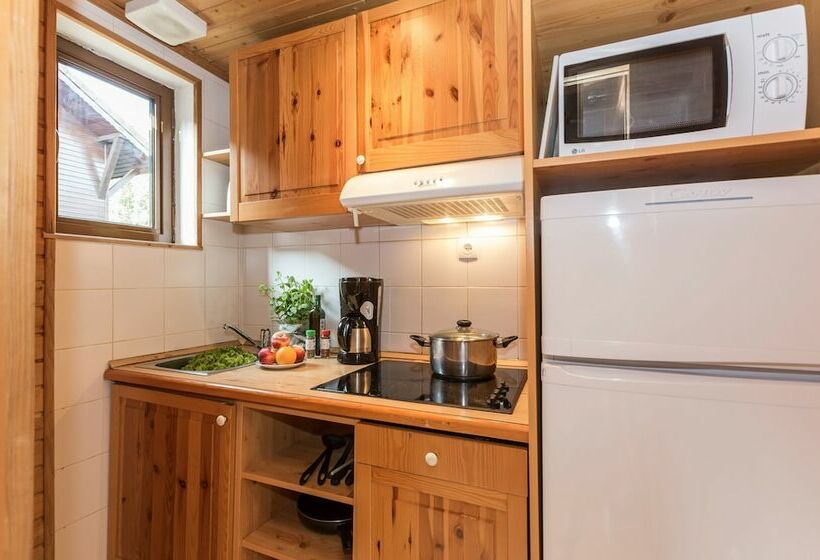 침실 1개 아파트, Résidence Odalys Les Chalets D Evian