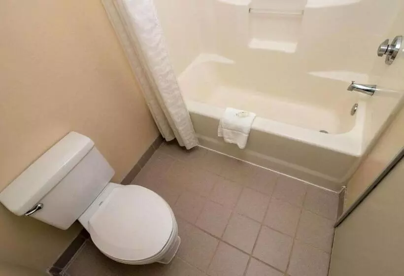 سوییت, Quality Suites Lake Wright  Norfolk Airport