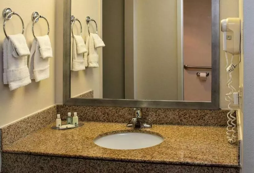 سوییت, Quality Suites Lake Wright  Norfolk Airport