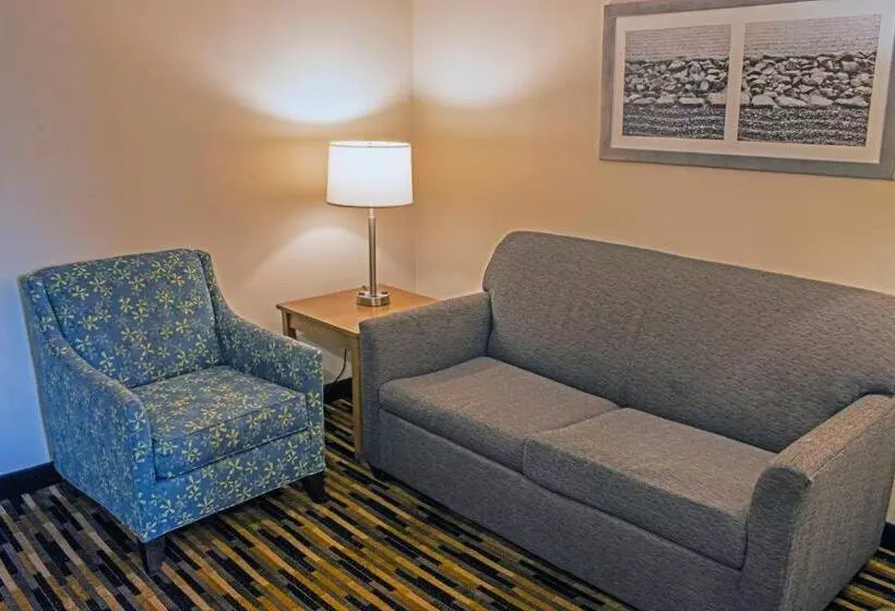 سوئیت با تخت بزرگ, Quality Suites Lake Wright  Norfolk Airport