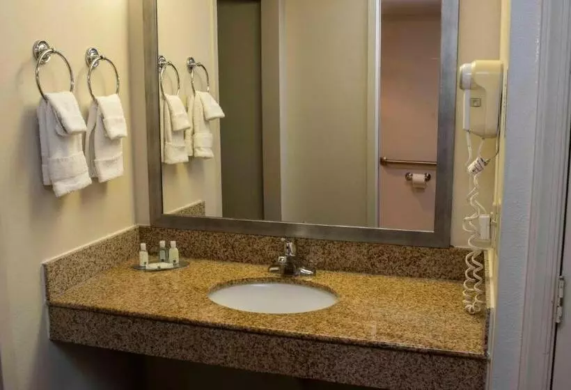 سوئیت با تخت بزرگ, Quality Suites Lake Wright  Norfolk Airport