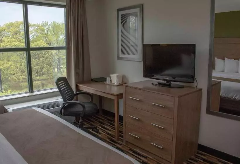 سوئیت با تخت بزرگ, Quality Suites Lake Wright  Norfolk Airport
