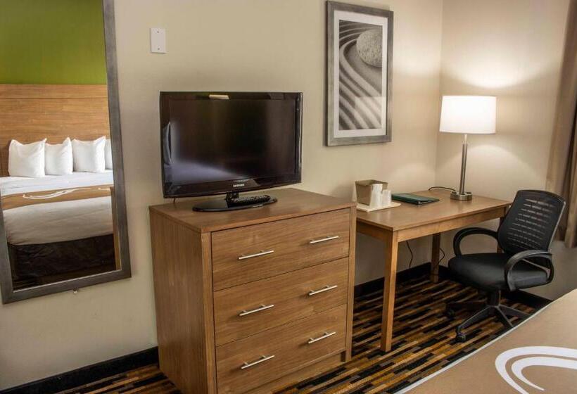 Люкс Кровать Кинг, Quality Suites Lake Wright  Norfolk Airport
