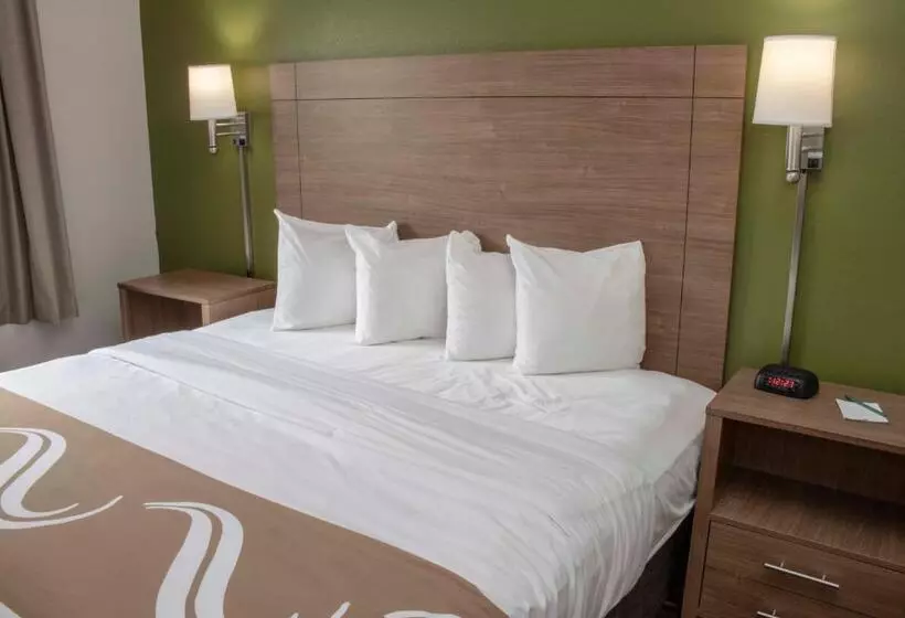 اتاق استاندارد با تخت بزرگ برای معلولان, Quality Suites Lake Wright  Norfolk Airport