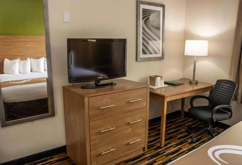 اتاق استاندارد با تخت بزرگ برای معلولان, Quality Suites Lake Wright  Norfolk Airport