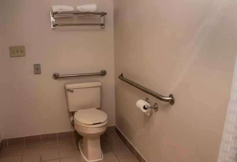 اتاق استاندارد با تخت بزرگ برای معلولان, Quality Suites Lake Wright  Norfolk Airport