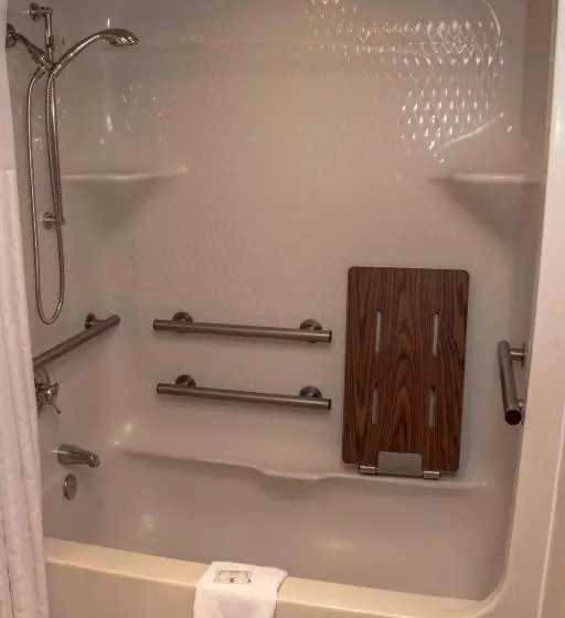 اتاق استاندارد با تخت بزرگ برای معلولان, Quality Suites Lake Wright  Norfolk Airport