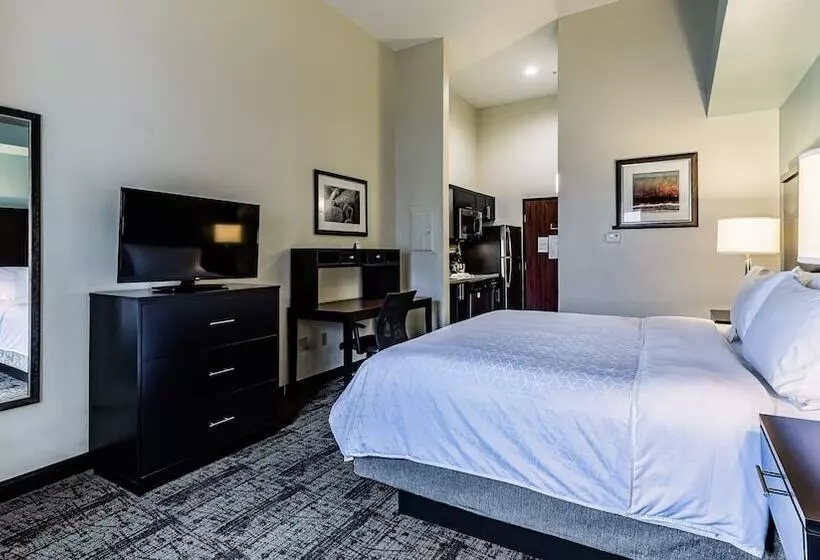 استودیوی استاندارد, Staybridge Suites Laredo, An Ihg