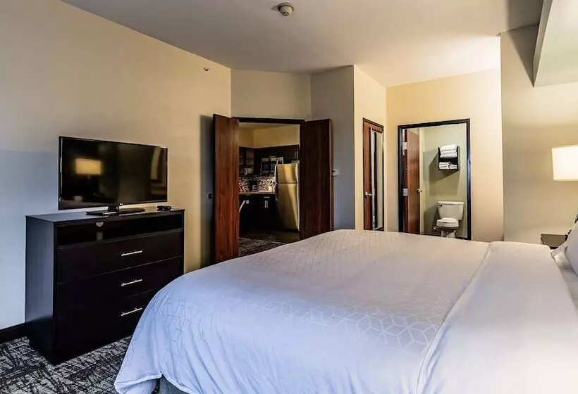 سوییت, Staybridge Suites Laredo, An Ihg