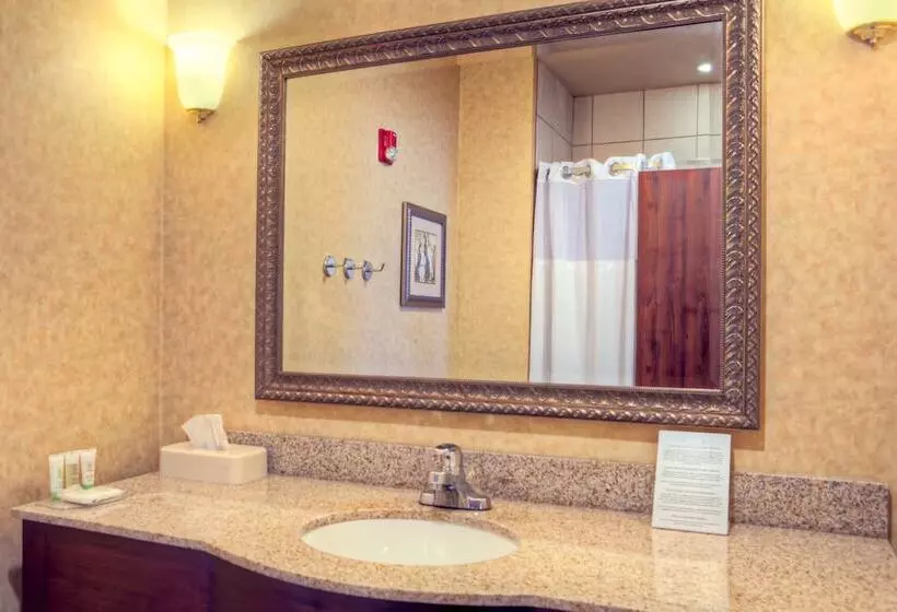 سوئیت برای معلولان, Staybridge Suites Laredo, An Ihg