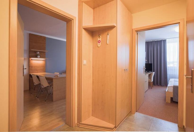 דירת חדר, Vista