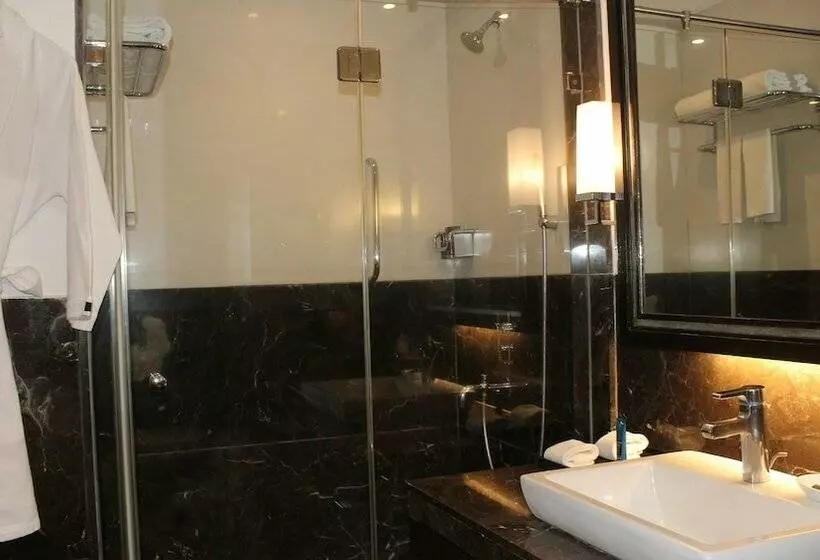 シティビューのデラックスルーム, Le Méridien Nagpur