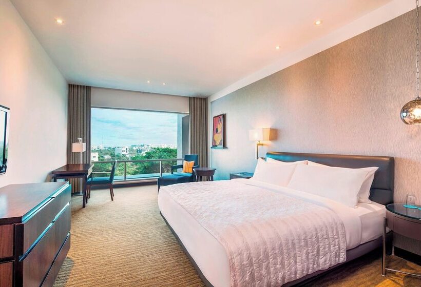 اتاق لوکس با چشمانداز شهر, Le Méridien Nagpur