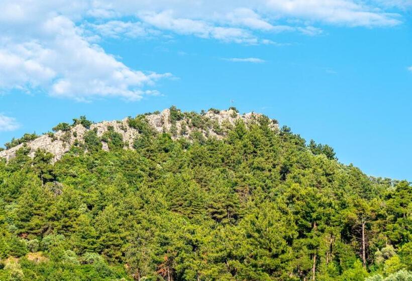 Номер Economy, Lido Thassos
