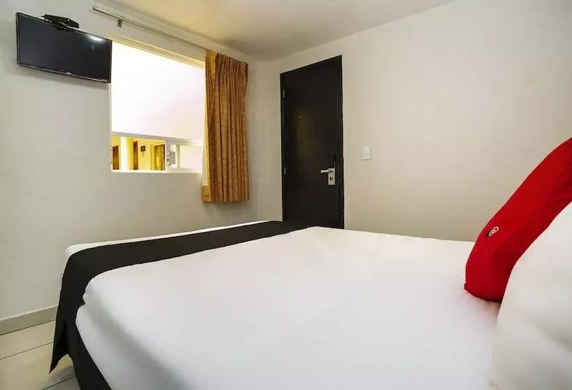 اتاق استاندارد, Capital O Hotel Victoria Morelia