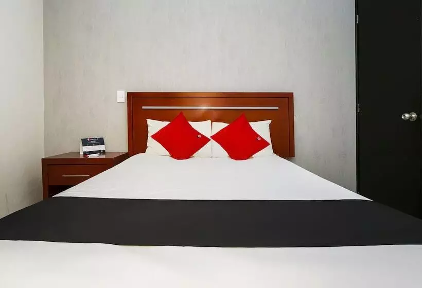 اتاق استاندارد, Capital O Hotel Victoria Morelia