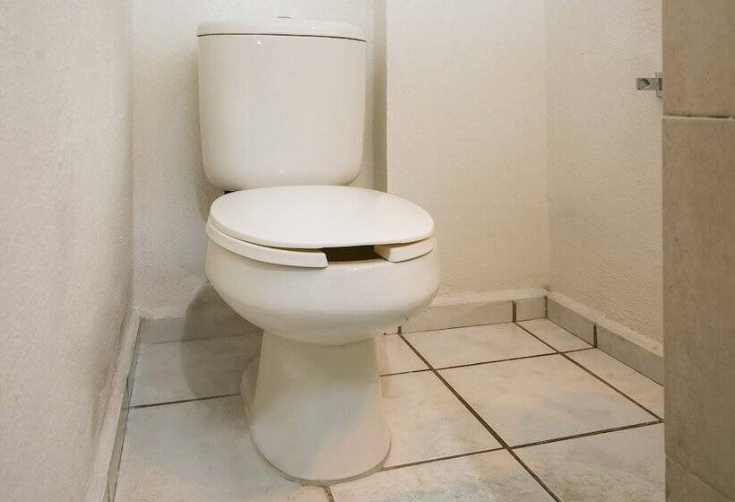 带2个双人床的标准工作室, Capital O Hotel Victoria Morelia