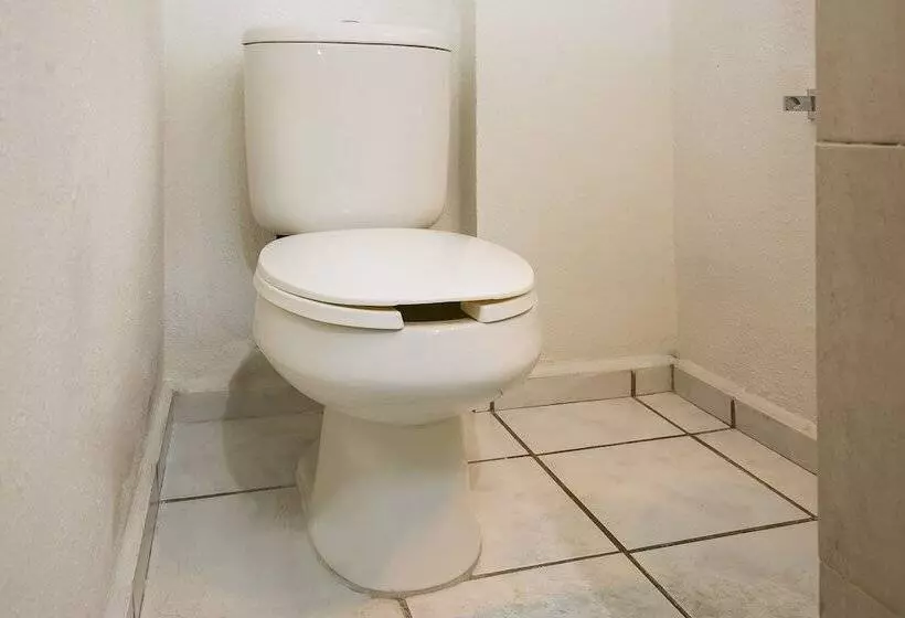 اتاق استاندارد با 2 تخت دوبل, Capital O Hotel Victoria Morelia