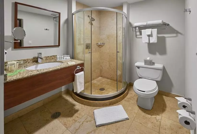 سوییت, Wyndham Garden Mexico City Polanco