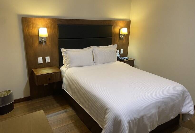 スイート, Wyndham Garden Mexico City Polanco