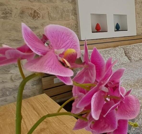 חדר דלוקס נוף לעיר, B&b Cuore Barocco