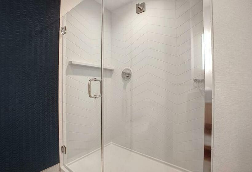 キングサイズベッドのスタンダードルーム, Fairfield By Marriott Inn & Suites Denver Southwest, Littleton