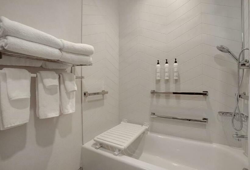 エクゼクティブワンルーム, Fairfield By Marriott Inn & Suites Denver Southwest, Littleton