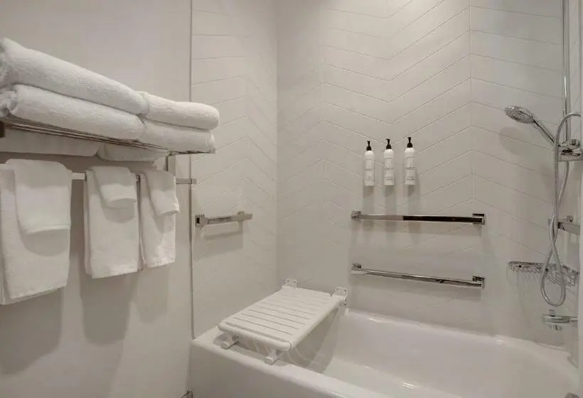 エクゼクティブワンルーム, Fairfield By Marriott Inn & Suites Denver Southwest, Littleton