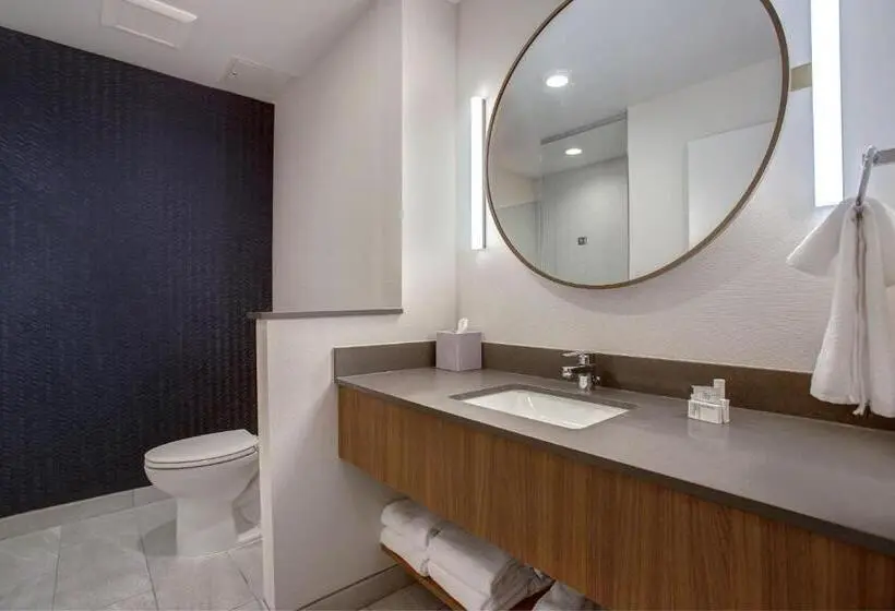 キングサイズベッドのスタンダードルーム, Fairfield By Marriott Inn & Suites Denver Southwest, Littleton