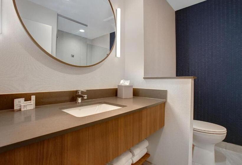 スタンダードルーム, Fairfield By Marriott Inn & Suites Denver Southwest, Littleton