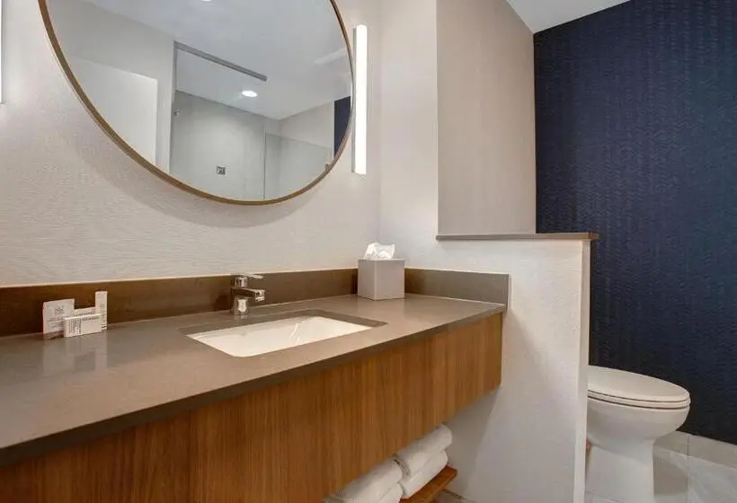 スタンダードルーム, Fairfield By Marriott Inn & Suites Denver Southwest, Littleton