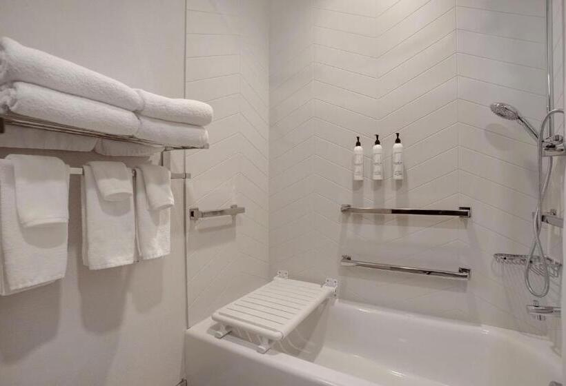 身障者適用キングサイズベッドルーム, Fairfield By Marriott Inn & Suites Denver Southwest, Littleton