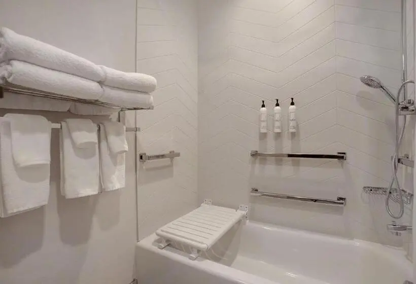 身障者適用キングサイズベッドルーム, Fairfield By Marriott Inn & Suites Denver Southwest, Littleton