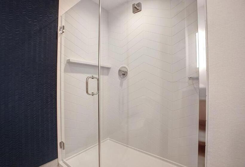 身障者適用キングサイズベッドルーム, Fairfield By Marriott Inn & Suites Denver Southwest, Littleton