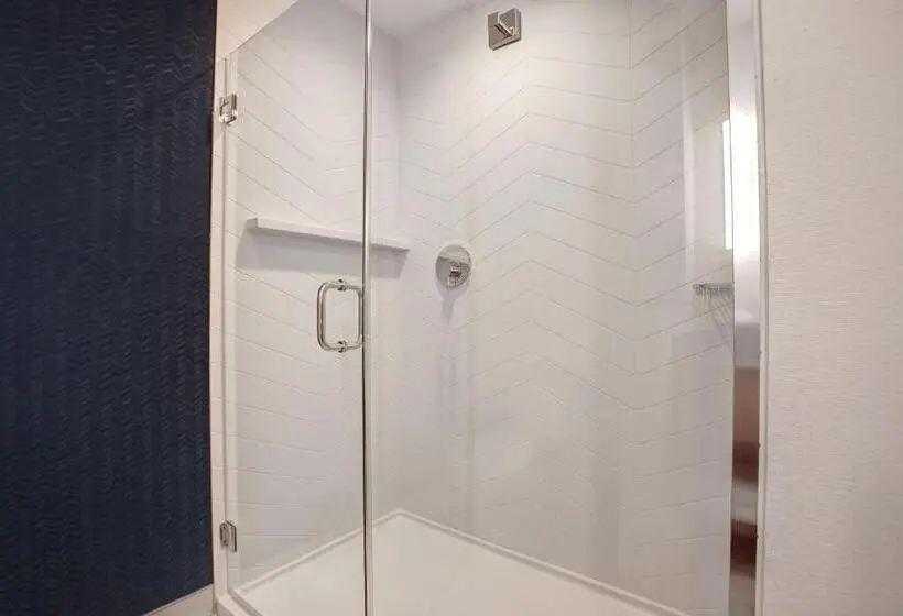 身障者適用キングサイズベッドルーム, Fairfield By Marriott Inn & Suites Denver Southwest, Littleton