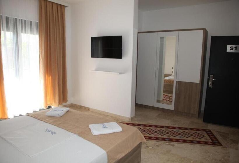 اتاق استاندارد, Premium Berlin With Pool