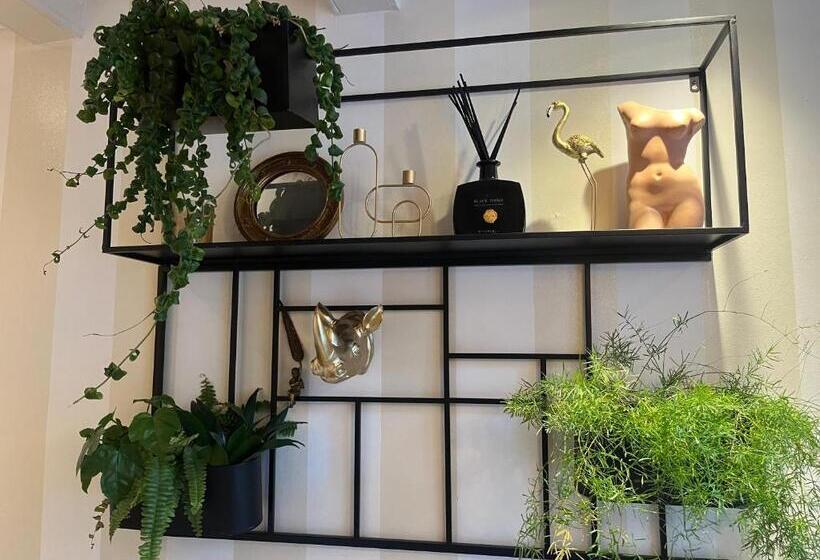 غرفة ديلوكس, The Enlightened House Luxury Suites