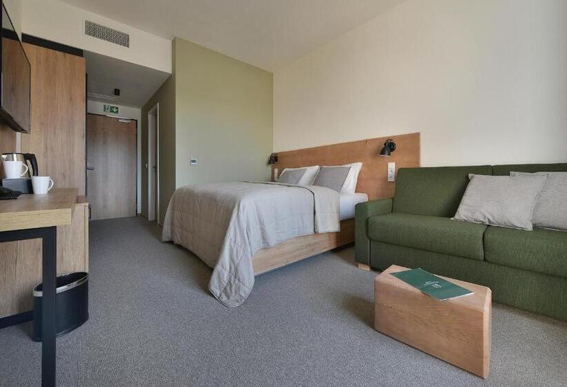 豪华湖景房, Element