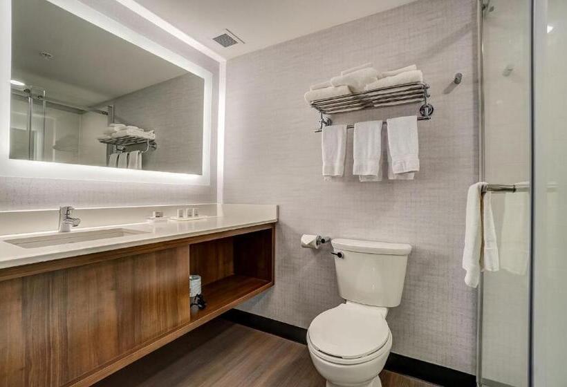 Номер Стандарт, Holiday Inn Gatineau   Ottawa, An Ihg