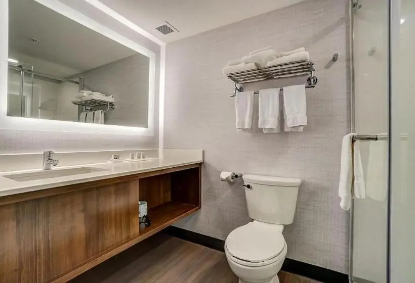 キングサイズベッドのスイートルーム, Holiday Inn Gatineau   Ottawa, An Ihg