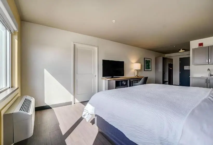 キングサイズベッドのスイートルーム, Holiday Inn Gatineau   Ottawa, An Ihg