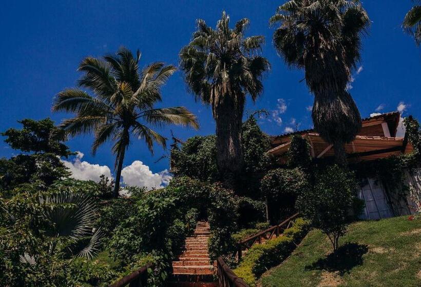 جناح سرير كينج, Kalma