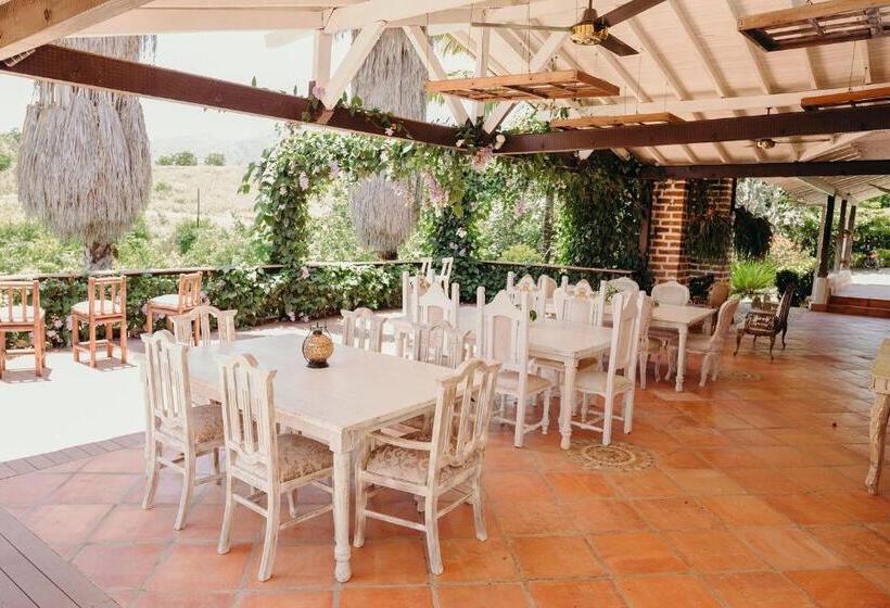 جناح سرير كينج, Kalma