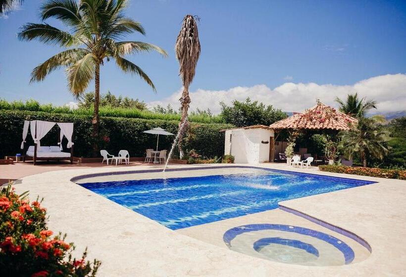 جناح ديلوكس, Kalma