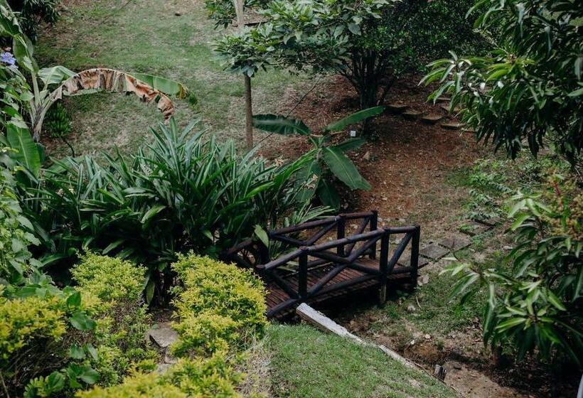 غرفة ديلوكس, Kalma