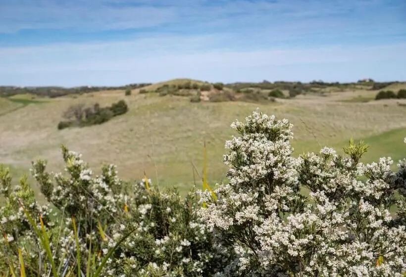 ２ベッドスイートルーム, Links Lodge At The Dunes