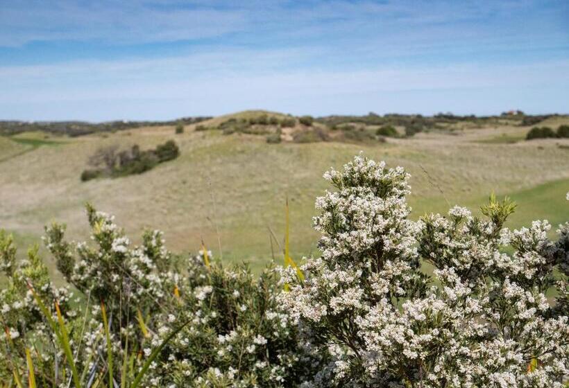 스탠다드 스튜디오 킹침대, Links Lodge At The Dunes