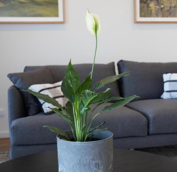 2ベッドスイートルーム, Links Lodge At The Dunes