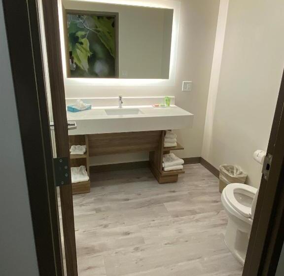 غرفة قياسية سرير كينج, Wyndham Garden Orlando Airport   Free Airport Shuttle